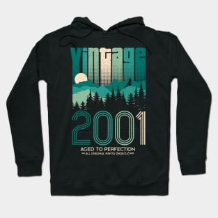 Vintage 2001 20th Birthday Twenty Years Gift Hoodie